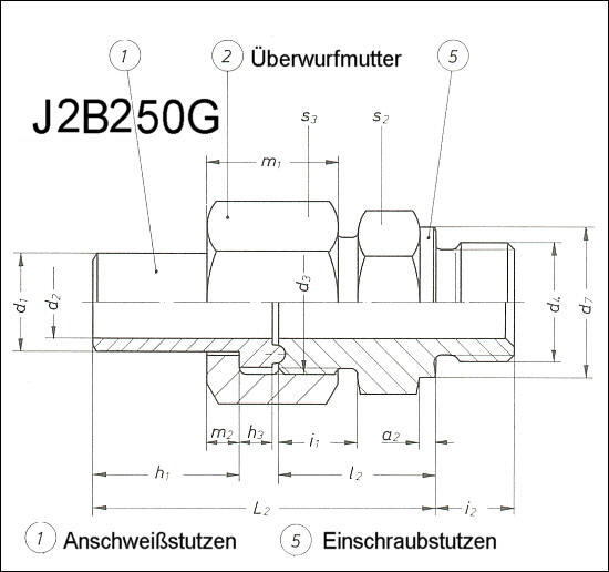 Abmessungen Einschraub-Anschwei-Rohrverschraubung J2B250G  PN250  DN3 bis DN40